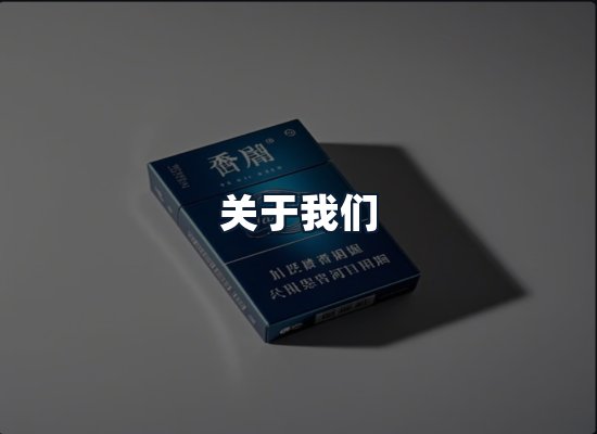 关于我们